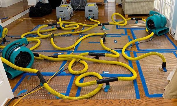 Professional Crawl Space Water Removal technician working in West Alton, MO